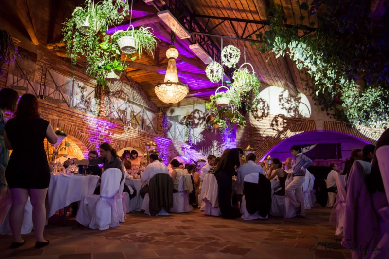 Mariage sur le thème des vignes - château Saint Louis (82)